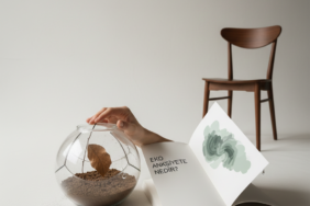 Eko Anksiyete Nedir? blog görseli